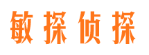 崇明私家调查公司